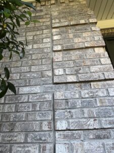 img 0311